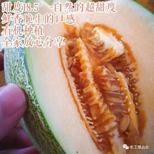 吃瓜超有料的,吃瓜超有料的幕后故事