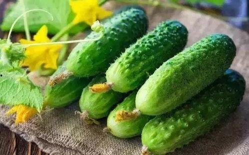 夏天带你吃瓜,跟着夏天一起探索美味瓜果之旅