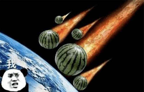 大喵吃大瓜,一场趣味横生的美食冒险之旅